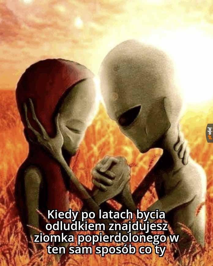 Też lubi płody żyraf