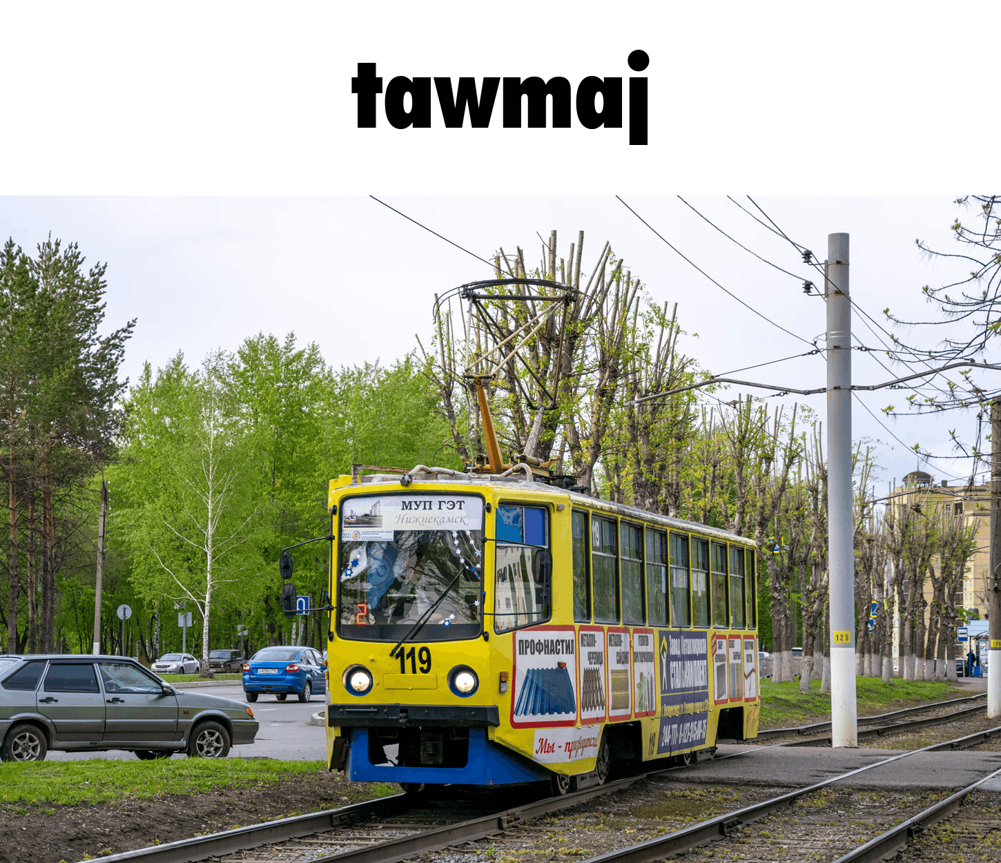 Tawmaj strachskok