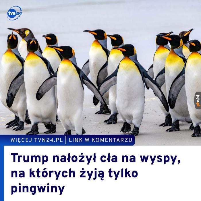Niezły interes