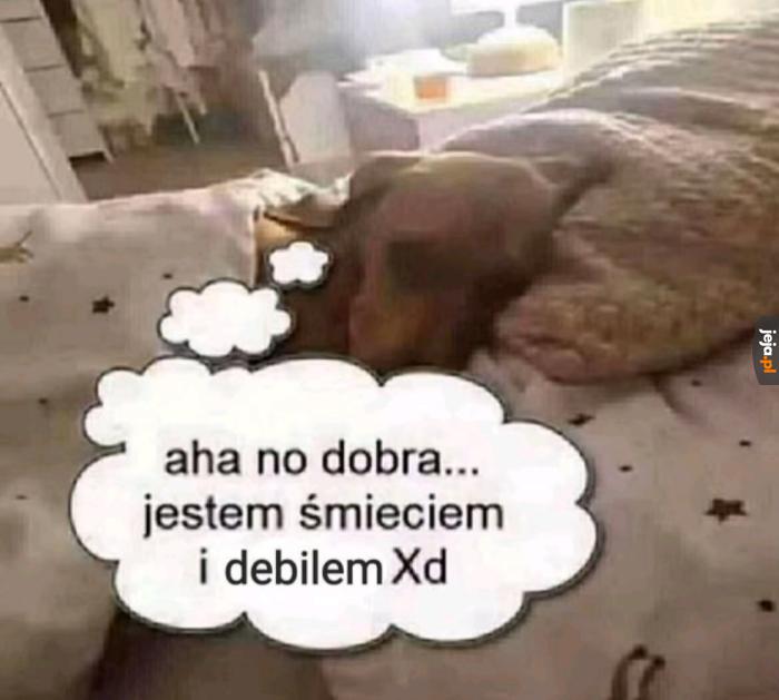 Zwyczajny obrazek