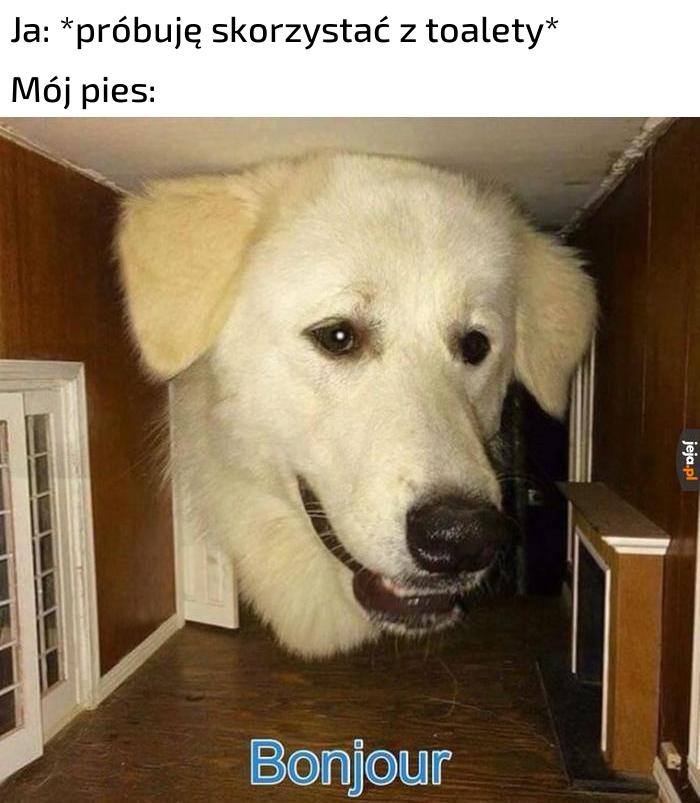 Masz może jakieś smaczki?