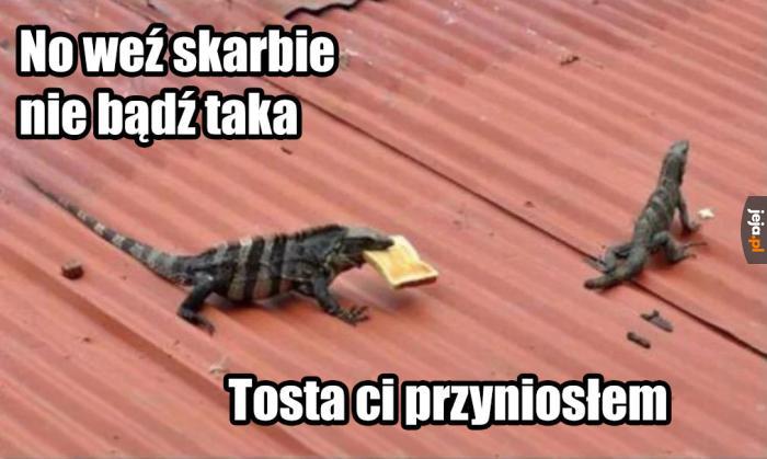 Gadzie problemy