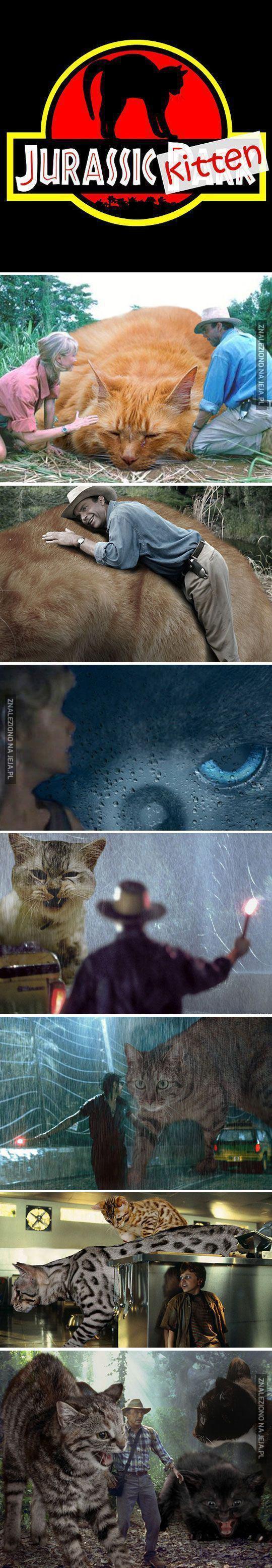A gdyby to był film o wielkich kotach...?