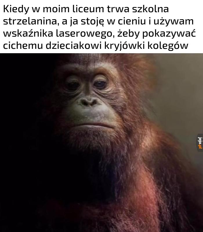 Darmowe asysty