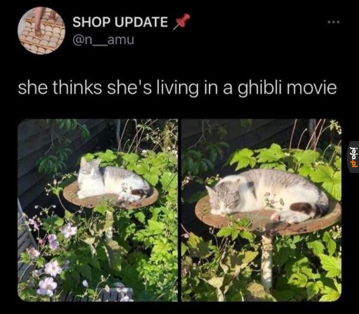 Kimkuś na grzybku