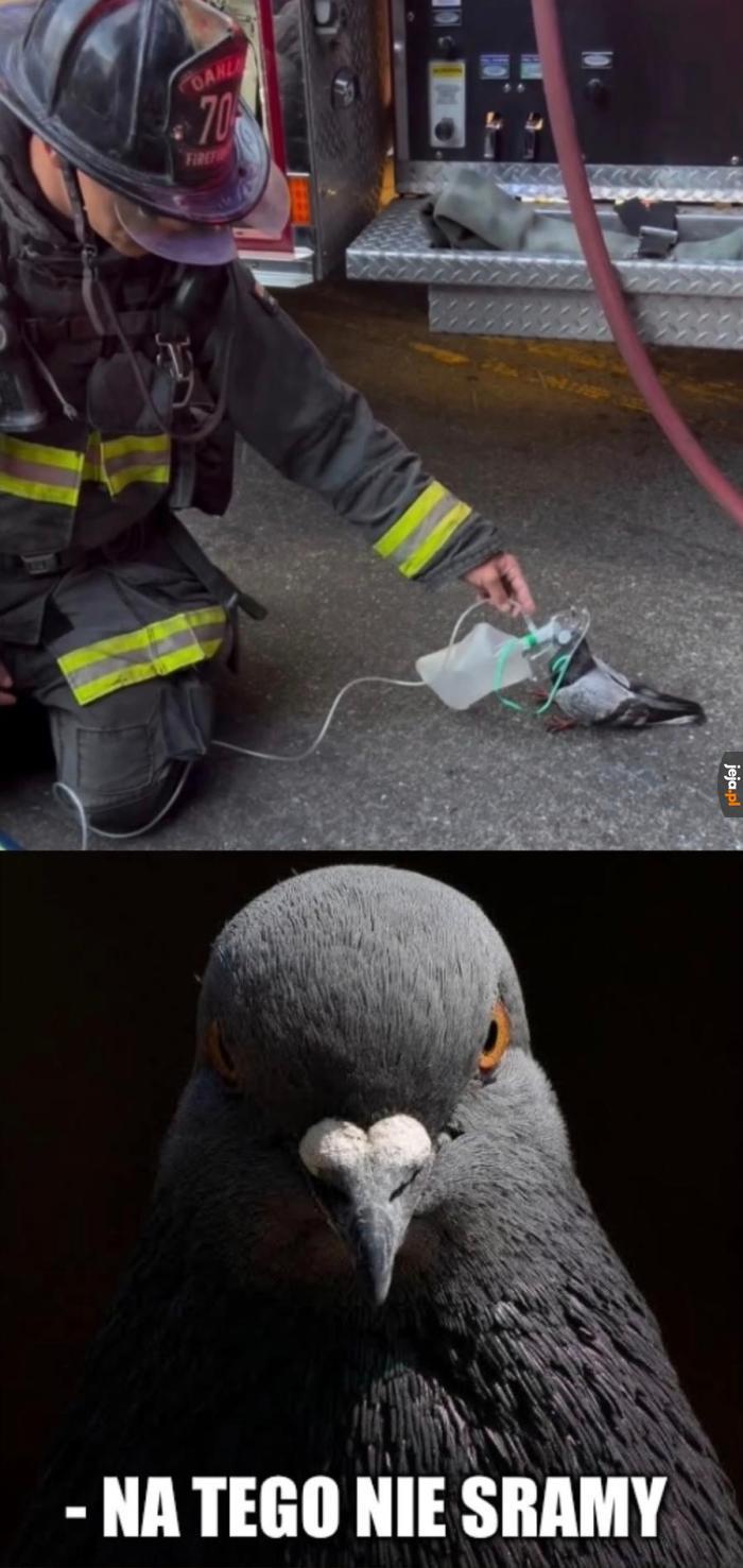 Temu odpuszczamy