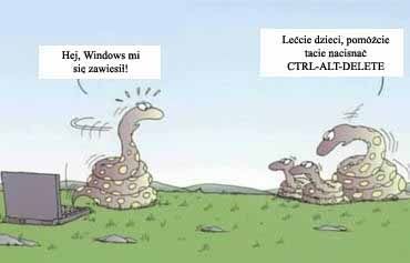 Wąż i Windows