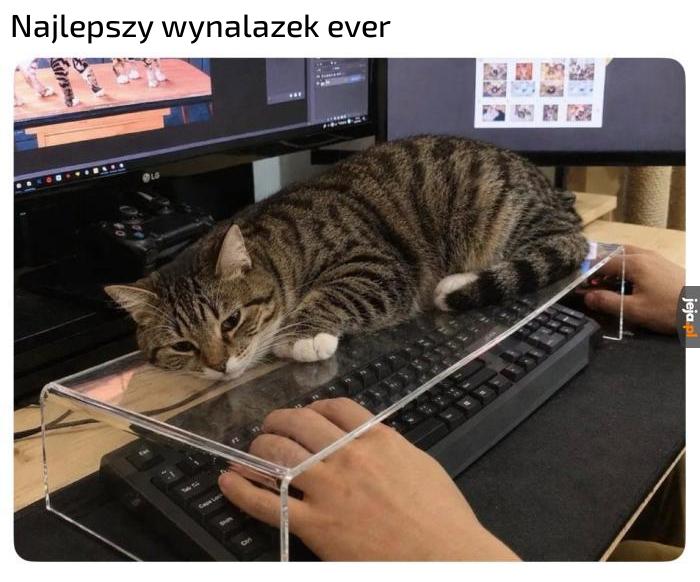 I wszyscy zadowoleni