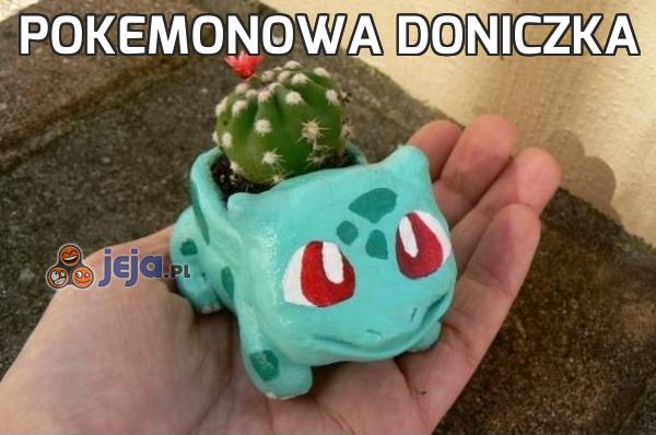 Pokemonowa doniczka