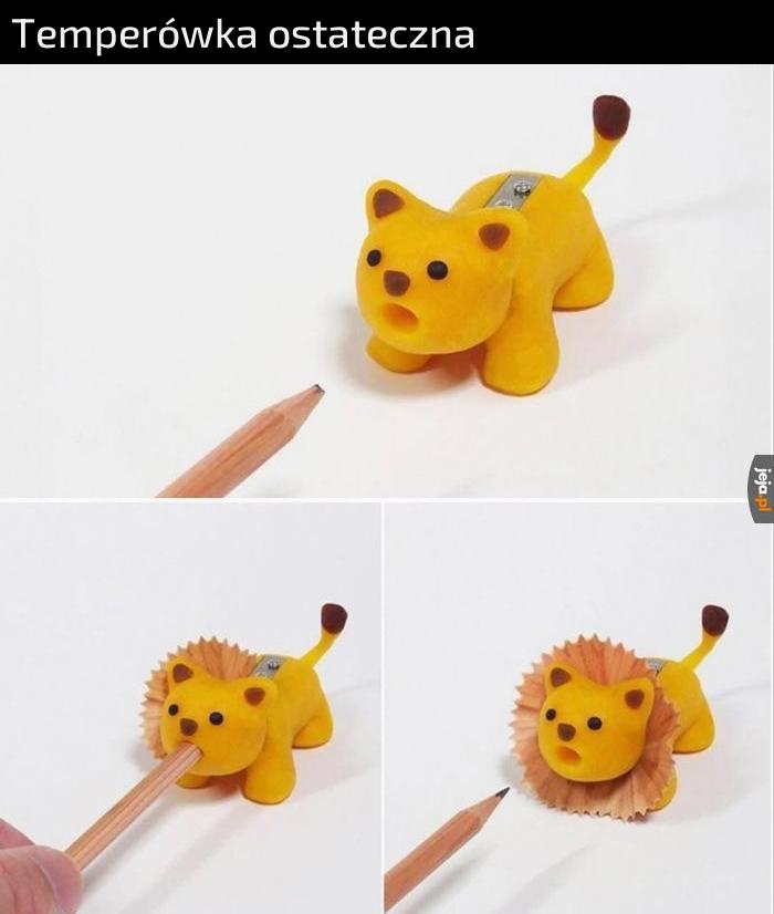 Must have dla każdego