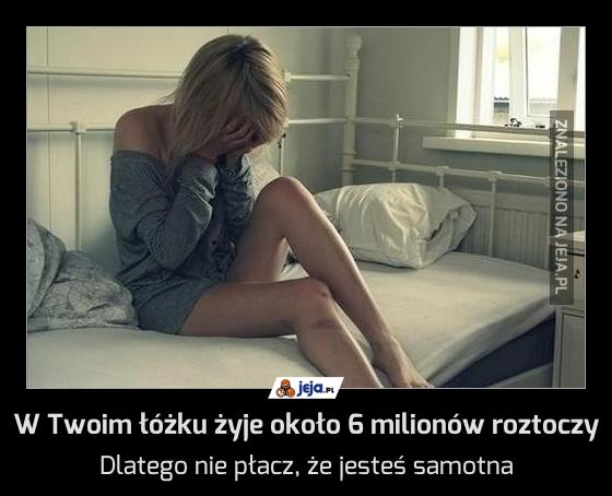 W Twoim łóżku żyje około 6 milionów roztoczy