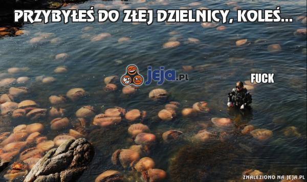 Przybyłeś do złej dzielnicy, koleś...