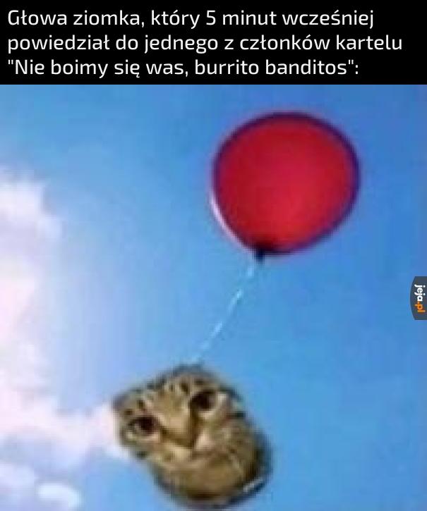 Ale wysoko leci