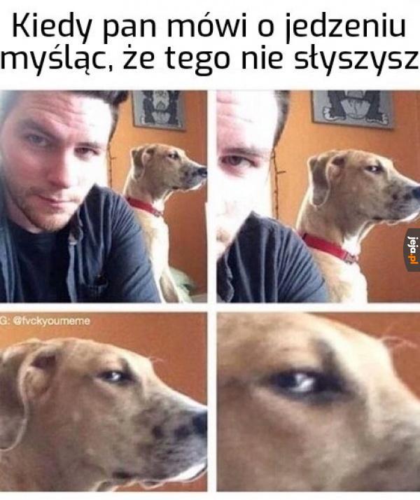 A Ty wszystko słyszysz