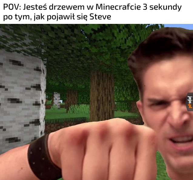 Papa, drzewko