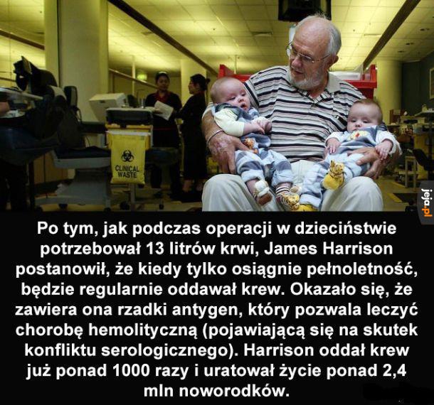 Bohater jakiego potrzebujemy, ale na niego nie zasługujemy