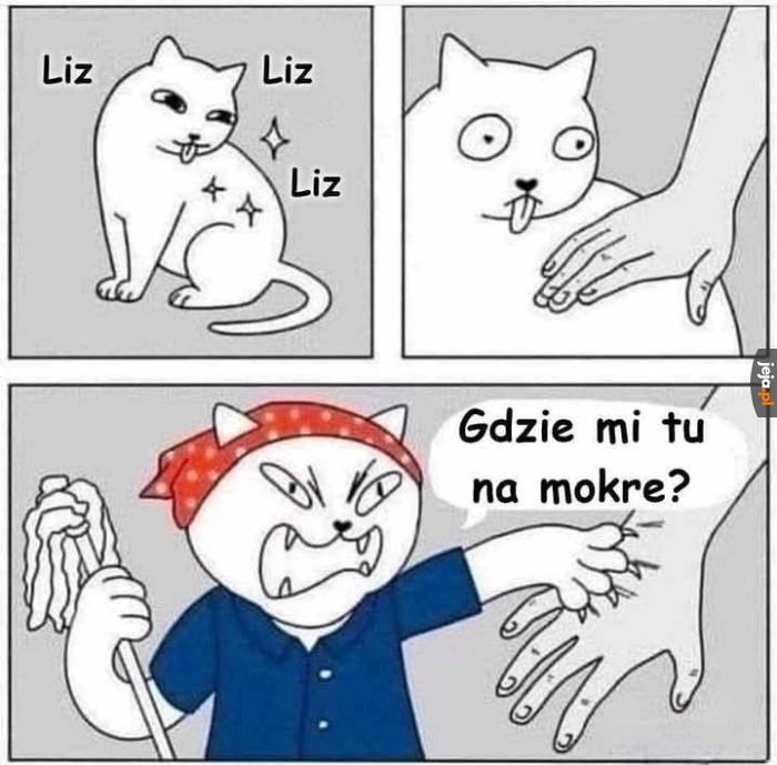 Gdzie mi tu na mokre?