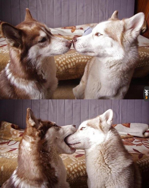 Pierwszy pocałunek
