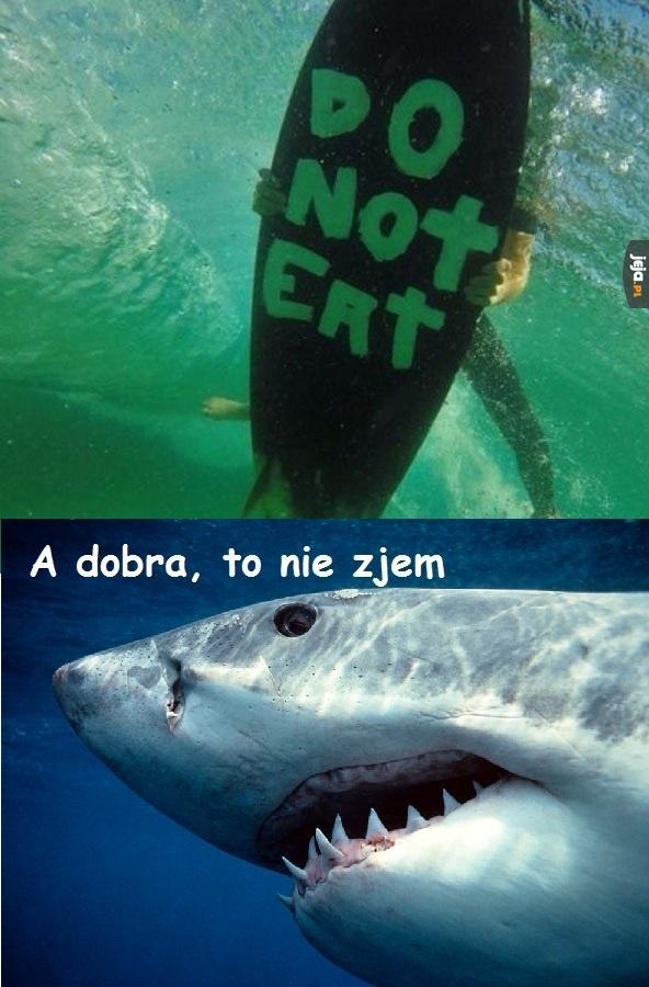Ochrona przed rekinami