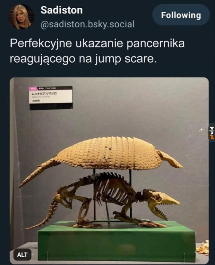 Tak właśnie zachowują się w naturze