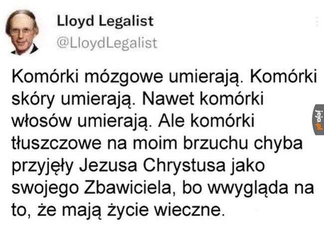 Niezniszczalne