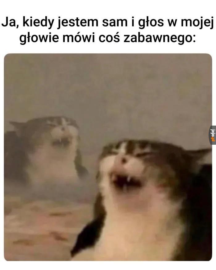 Śmieszny głos