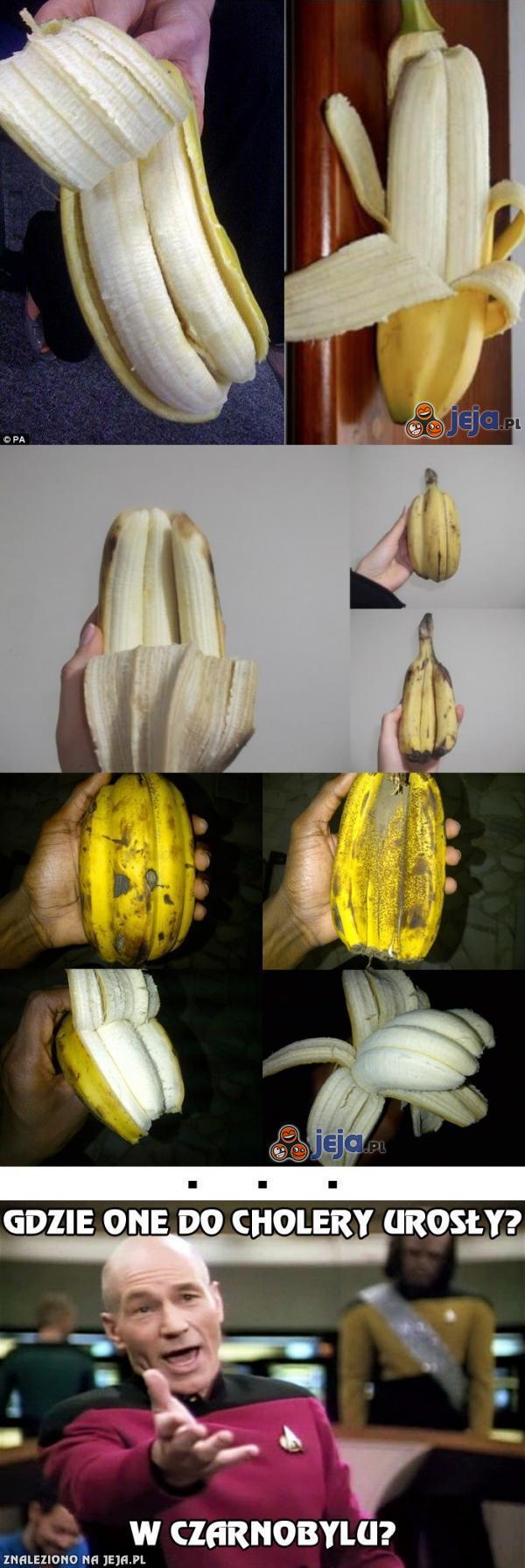 Niezwykłe banany