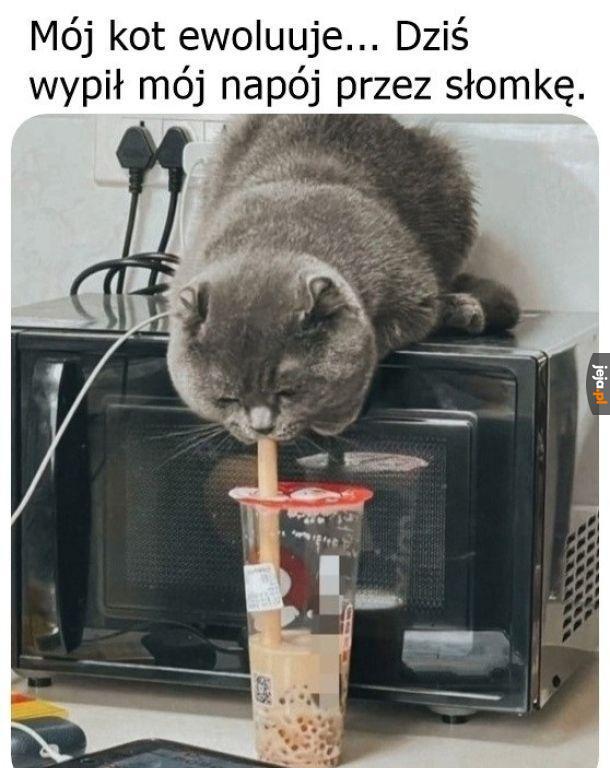 Można