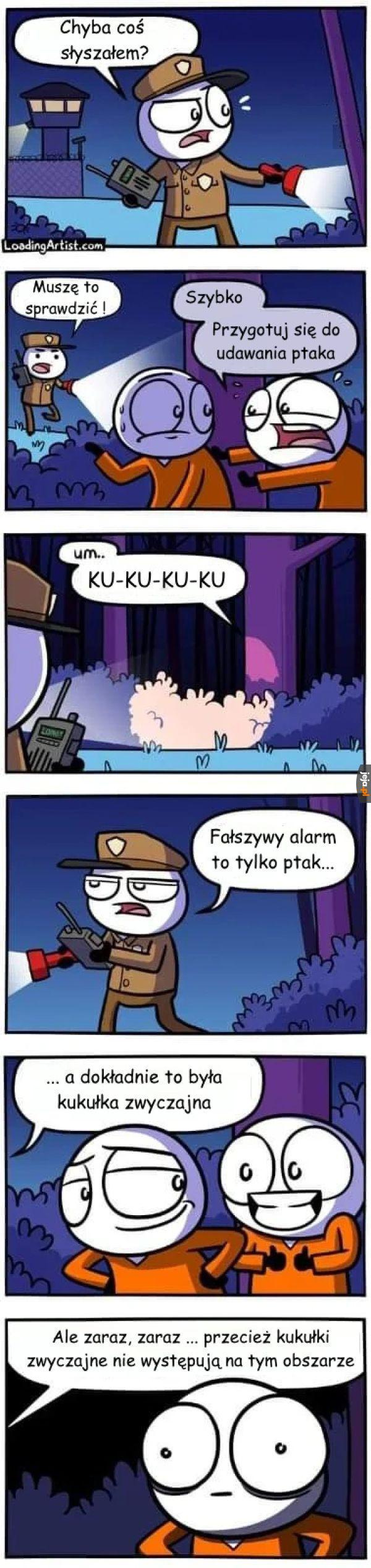 Jednak przypex