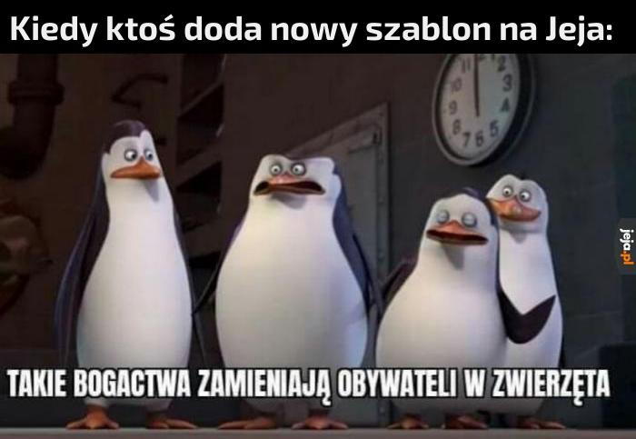 Spokojnie, panowie!