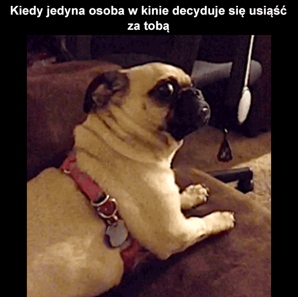 Kiedy jedyna osoba w kinie decyduje się usiąść za tobą