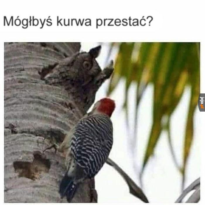 Byłbyś może tak uprzejmy?
