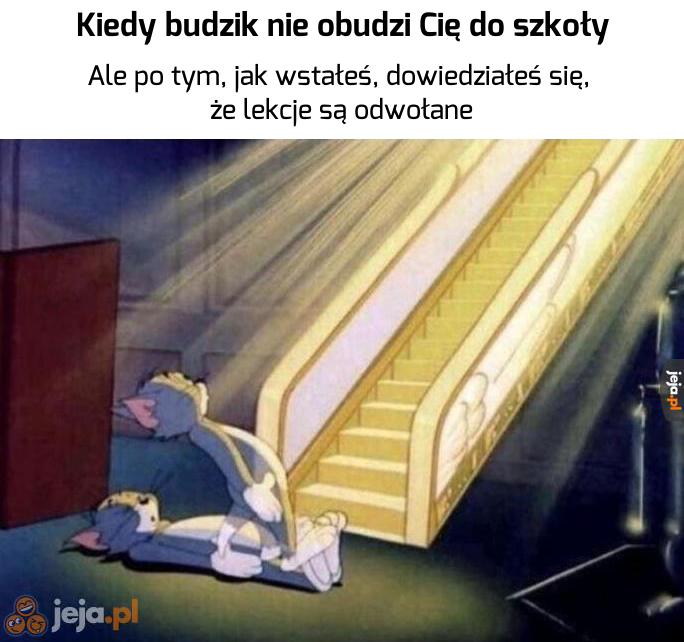 Gdybym wiedział wcześniej...