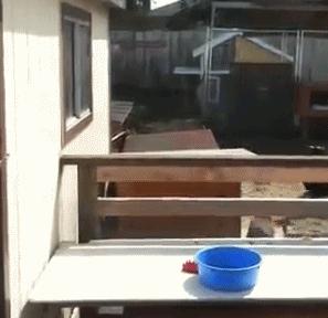 Szalony parkour