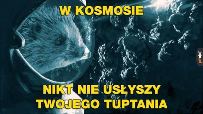 Dokąd nocą po kosmosie tupta jeż?