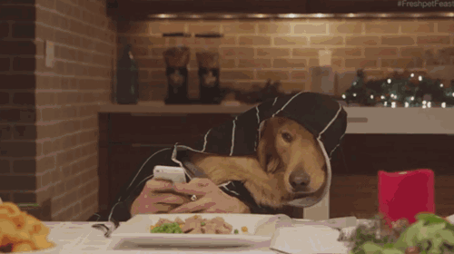 Rodzinny psi obiad