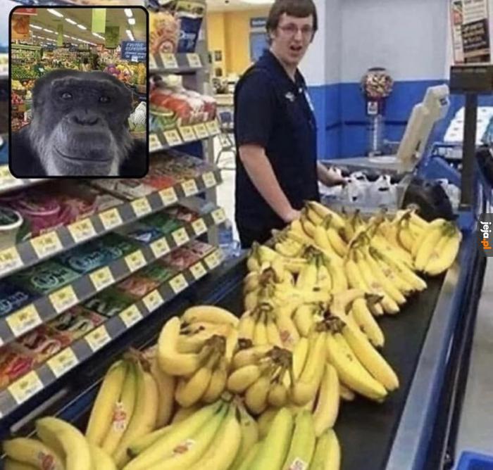 Małpa w sklepie