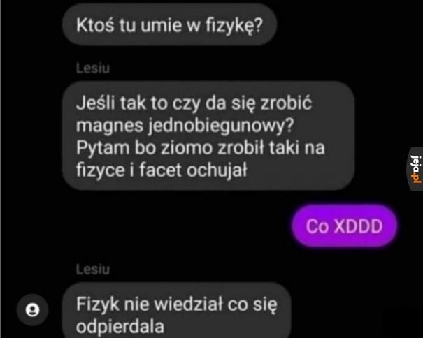 Przeciął magnes na pół
