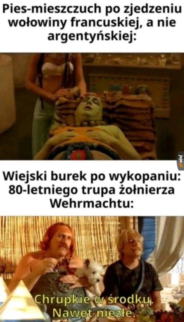Zupełnie inne parametry psa