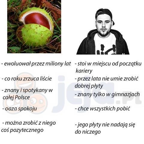 Kasztan vs Diox