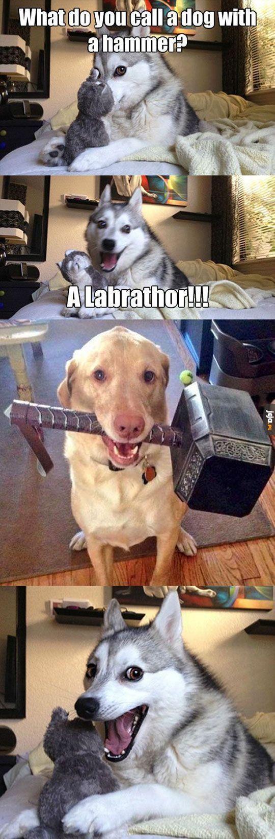 LabraThor