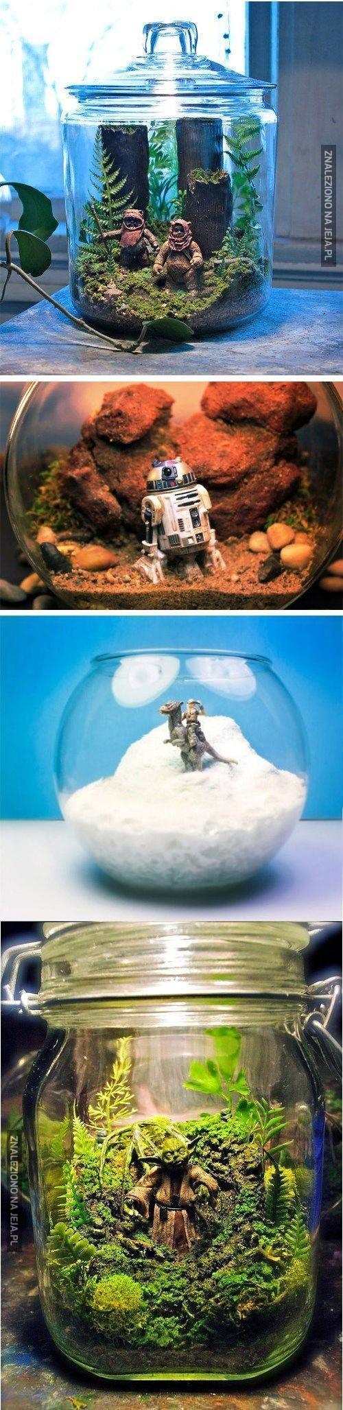Niesamowite terraria z Gwiezdnych Wojen