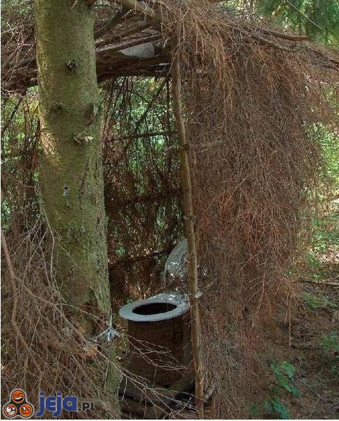 Leśna toaleta
