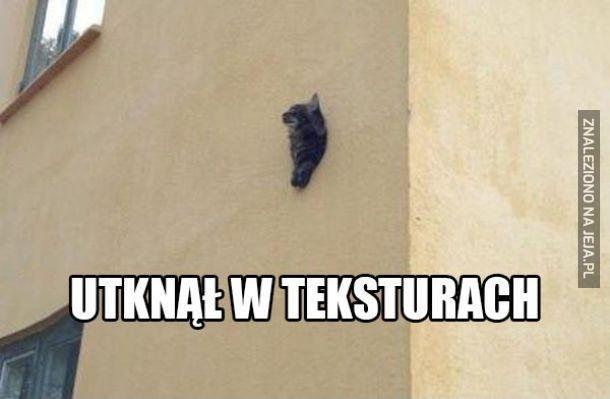 Utknął w teksturach