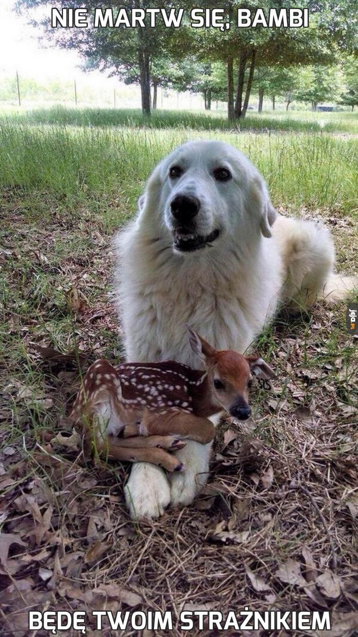 Nie martw się, Bambi