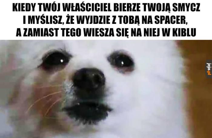 Człowiek, ty tak serio?