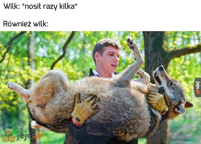 W końcu i jego ponieśli