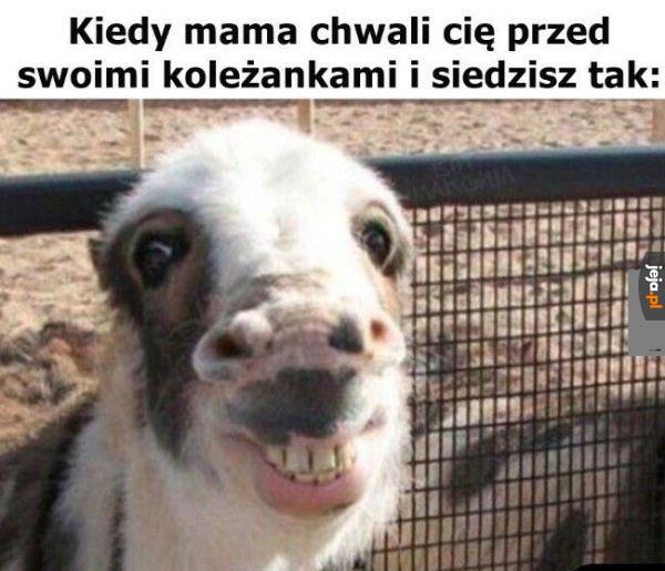 Jestem synem koleżanki Twojej mamy