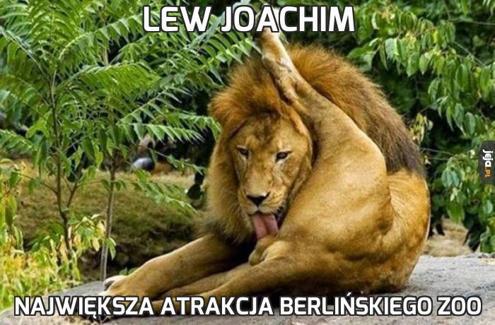 Lew Joachim