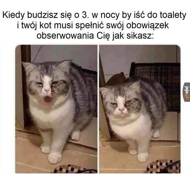 Ktoś to musi robić